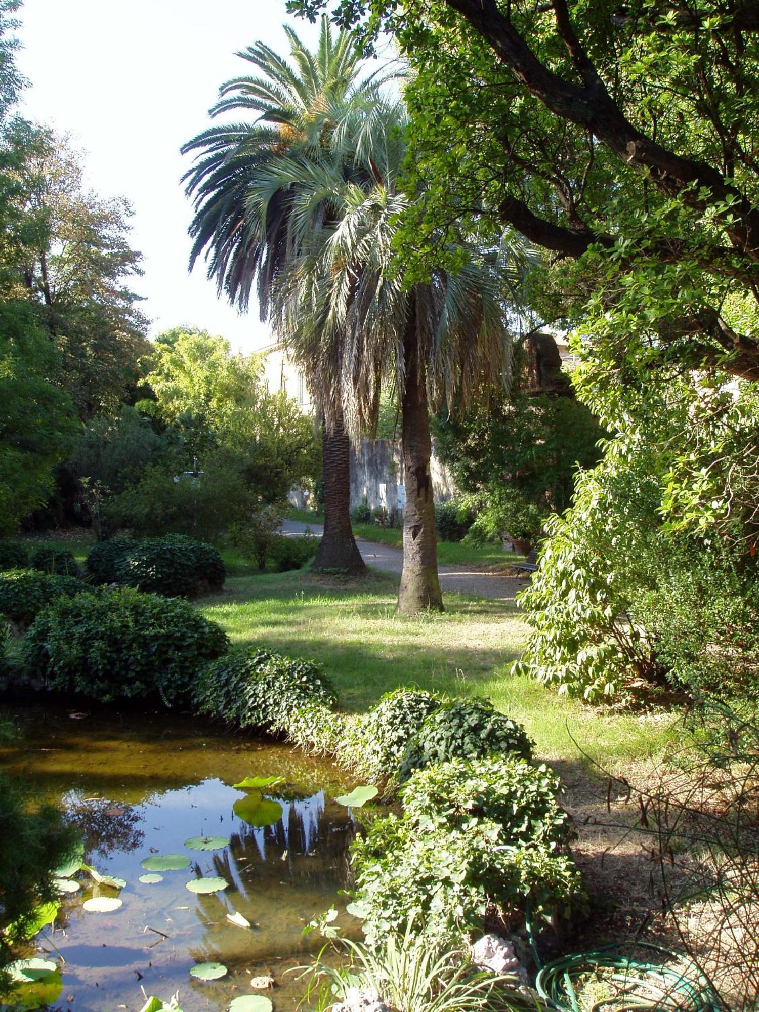 Hagley Park Hidden Gem Christchurch Exterior foto